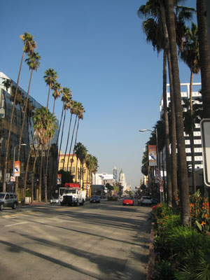 Hollywood Boulevard